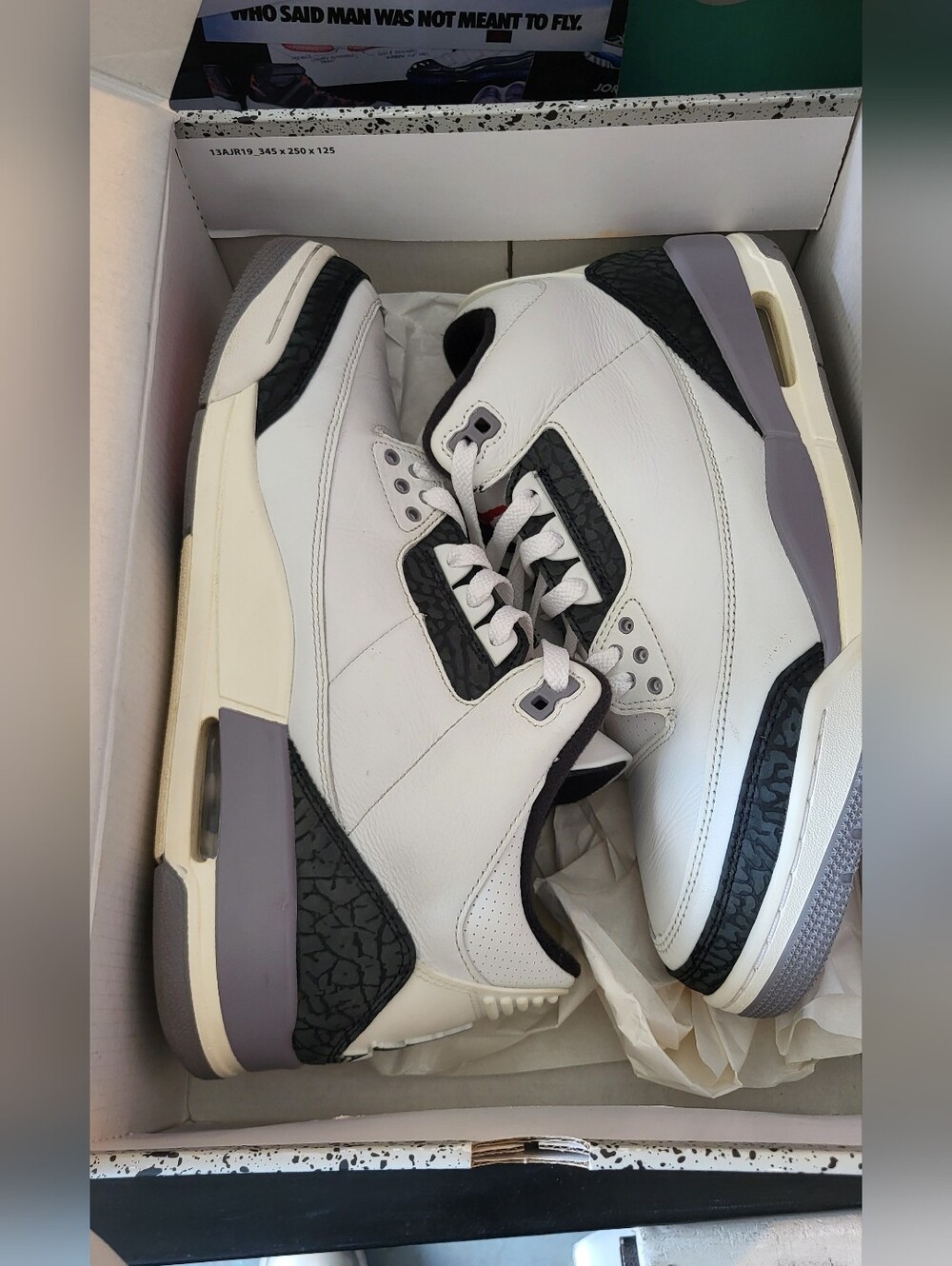 Jordan Retro 3 Sneakers in White, Black and Gray